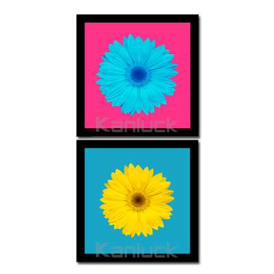 2 Pieces Framed Flower Painting Print Art Set