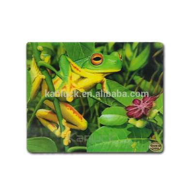 Hight Quality Plastic Lenticular 3D Picture Placemat